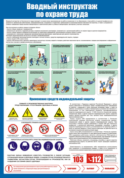 С152 Вводный инструктаж по охране труда (700х1000 мм, пластик ПВХ 3мм, Прямая печать на пластик)  - Стенды - Стенды по охране труда - . Магазин Znakstend.ru